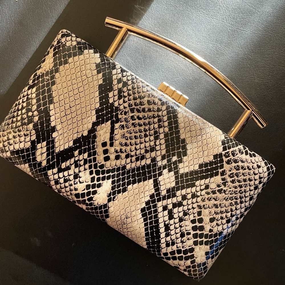Snakeskin clutch